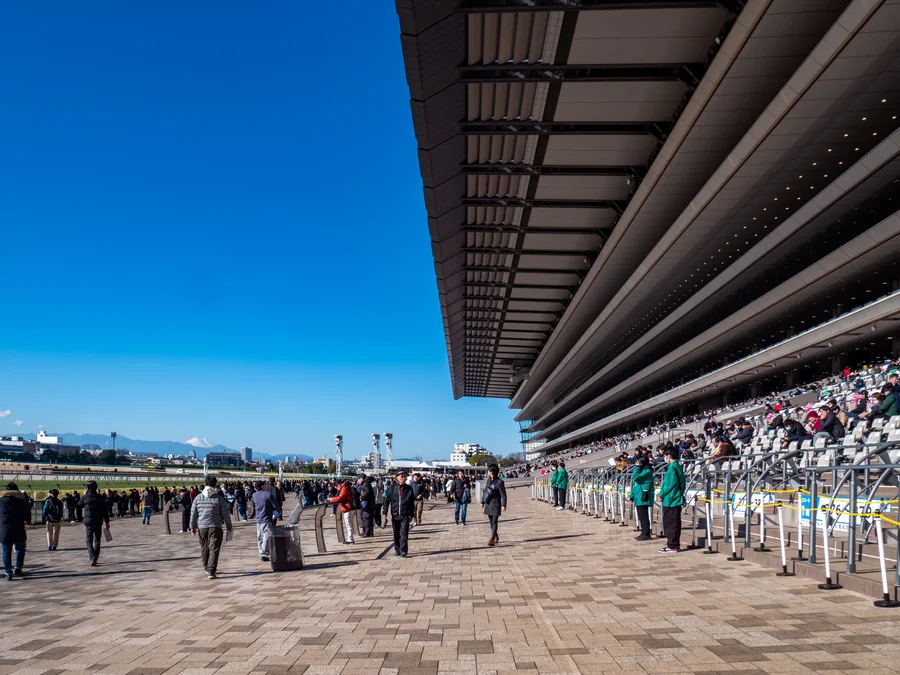 Tokyo Racecourse · Archive venue photograph